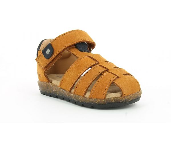 SUMBO CAMEL SUMBO CAMEL