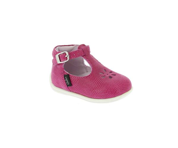ODJUMBO FUCHSIA ODJUMBO FUCHSIA
