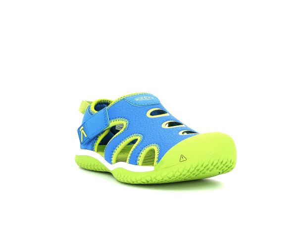 STINGRAY BRILLANT BLUE CHARTREUSE