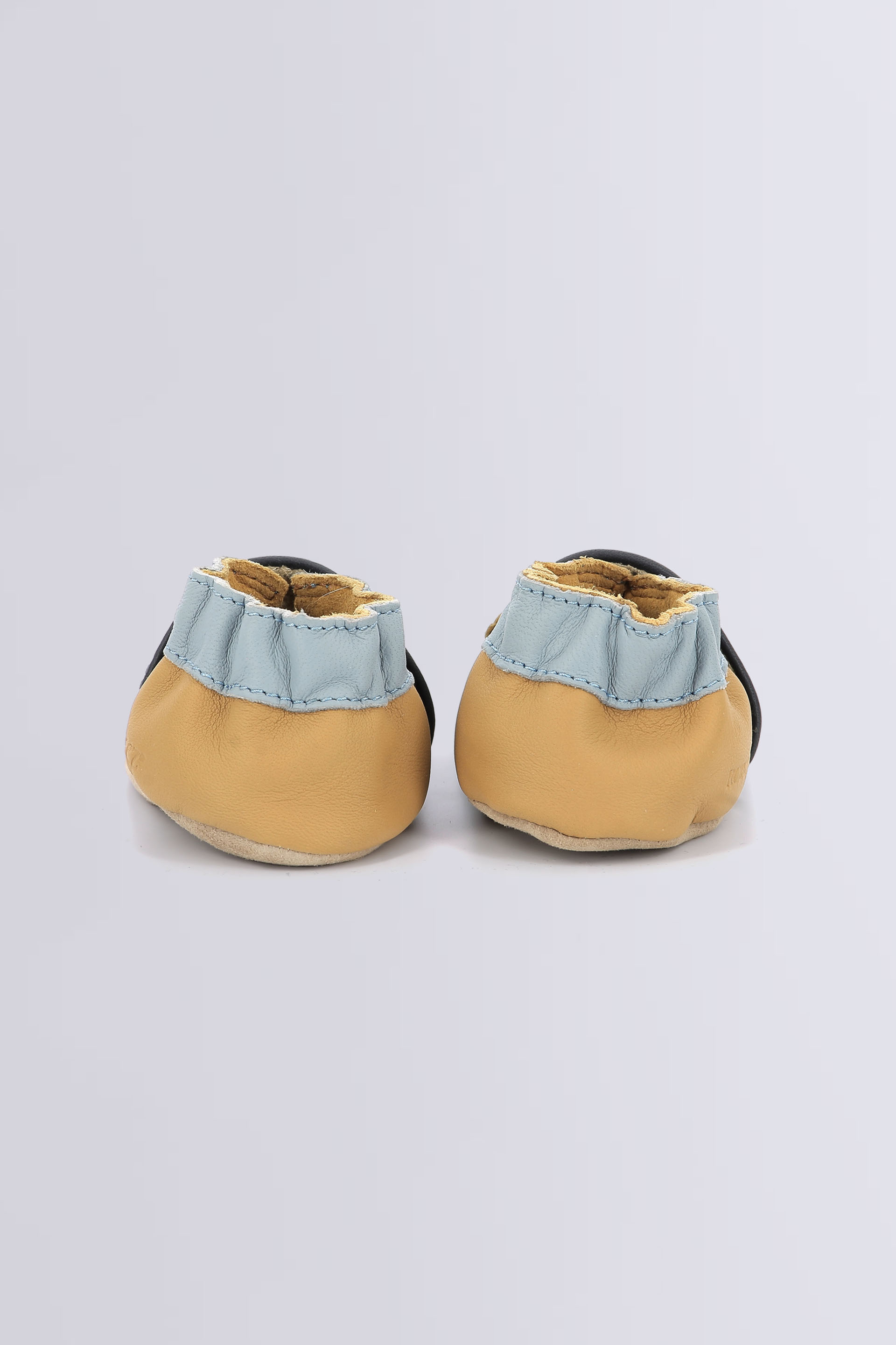 Forest game Marine camel clair