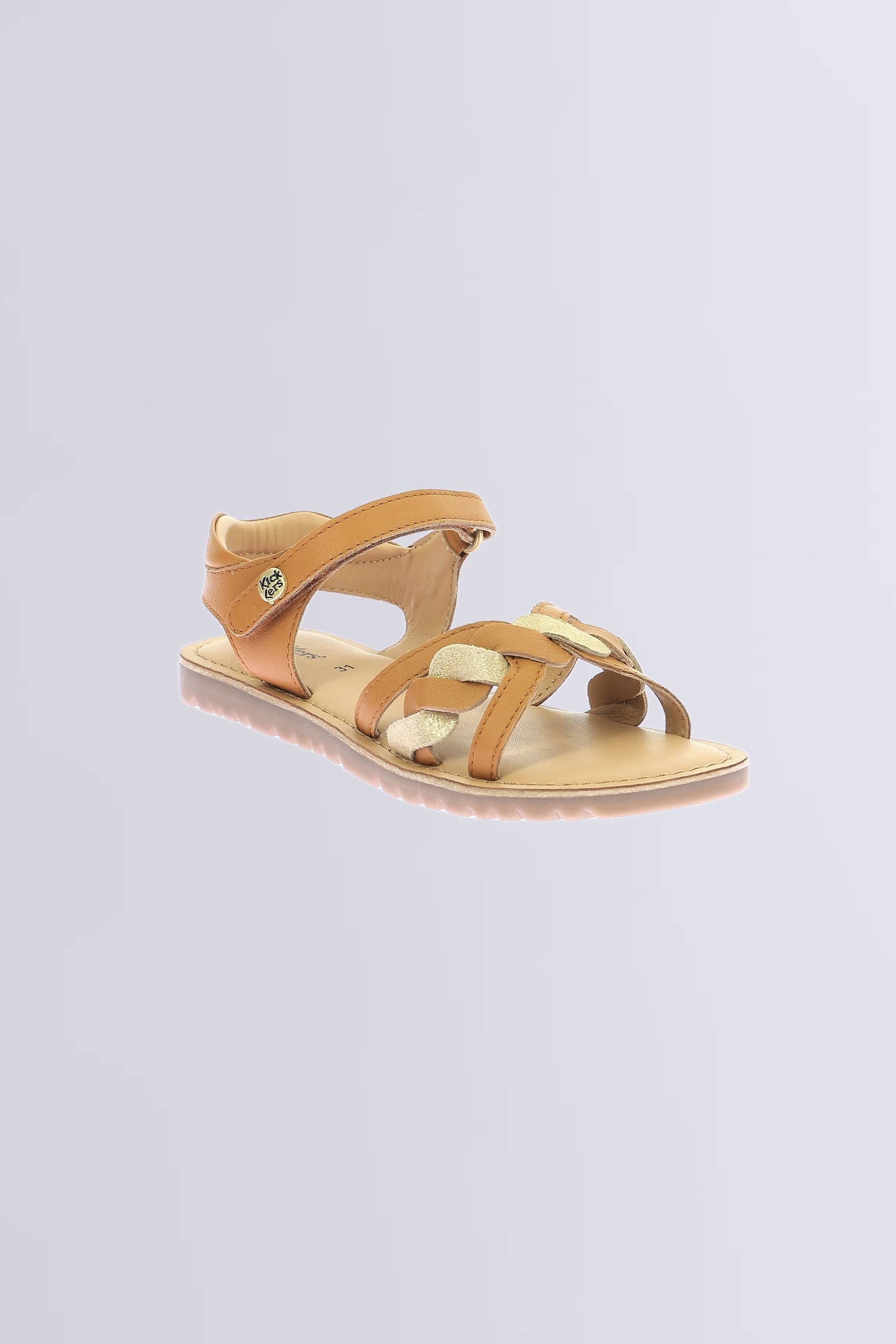 Betty Camel or