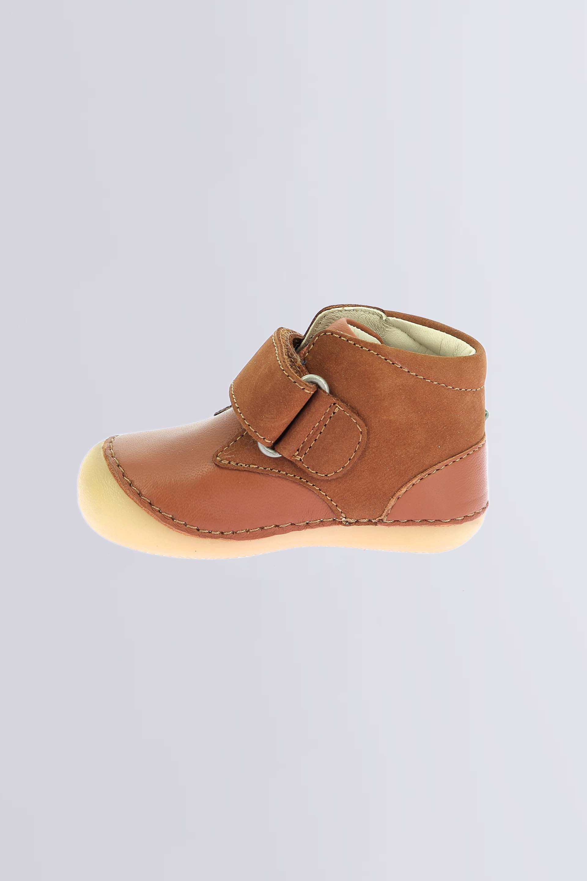 Sabio Marron renard Sabio Marron renard