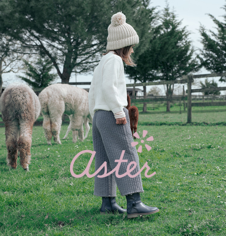 ASTER : le virage écologique