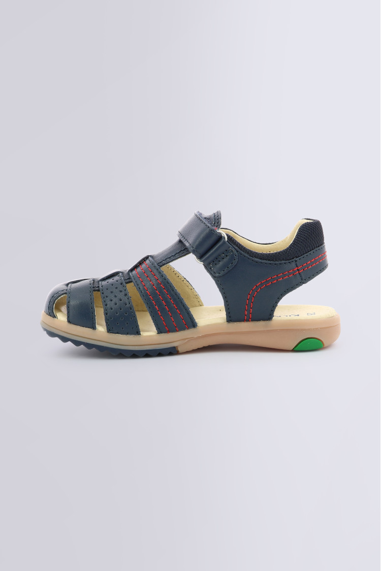PLATINIUM MARINE (28-38) PLATINIUM MARINE (28-38)