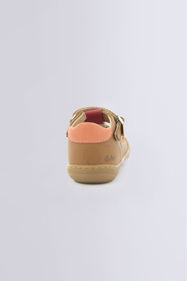 CRUSILE CAMEL CRUSILE CAMEL
