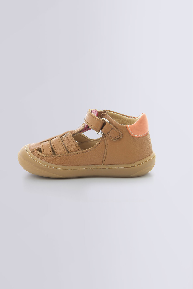 CRUSILE CAMEL CRUSILE CAMEL