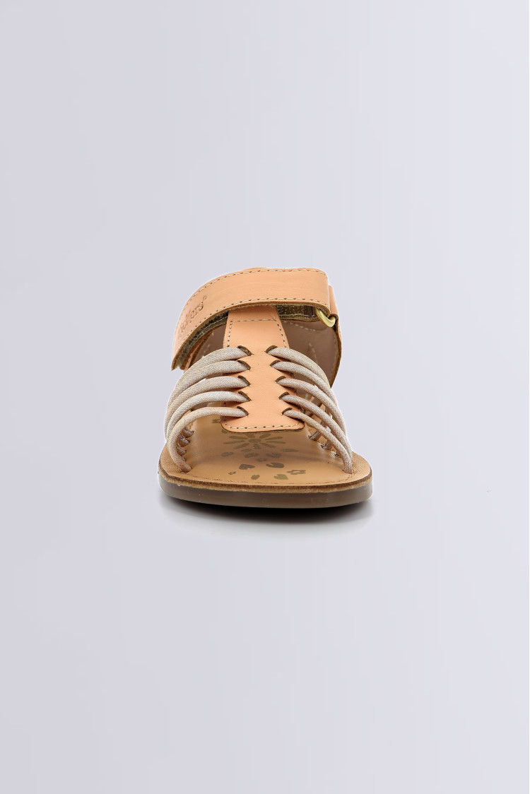 Divslim Rose Divslim Rose